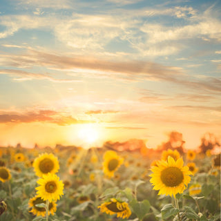 How to Transition Your Wardrobe from Spring to Summer Naturally